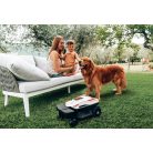 Ambrogi kisállat biztonsági berendezés (AMICO)