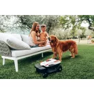 Ambrogi kisállat biztonsági berendezés (AMICO)