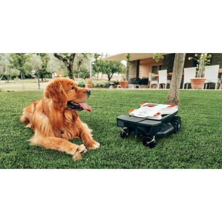 Ambrogi kisállat biztonsági berendezés (AMICO)