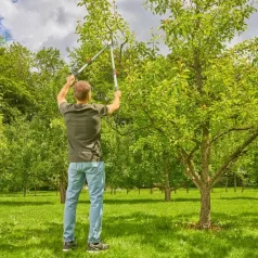 Gardena TeleCut Basic ágvágó olló
