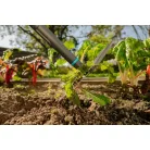 Gardena PureLine Villáskapa FSC® 100%