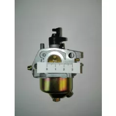 Karburátor komplett MTD P61HB