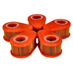 Levegőszűrő Briggs 7LE OHV  5 X 792038
