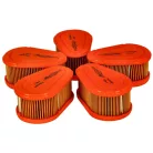Levegőszűrő Briggs 7LE OHV  5 X 792038