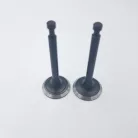 Szelep garnitúra Loncin 1P61FC