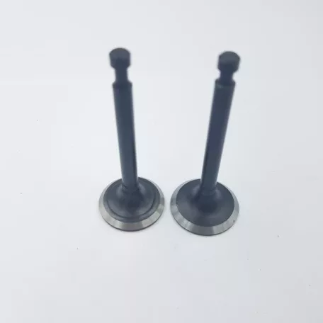 Szelep garnitúra Loncin 1P61FC