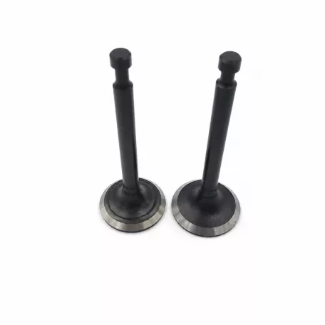 Szelep garnitúra Loncin 1P61FC