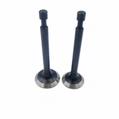Szelep garnitúra Loncin 1P65FE-3