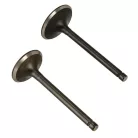 Szelep garnitúra Loncin 1P92F-1