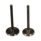 Szelep garnitúra Loncin 1P92F-1