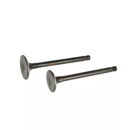 Szelep garnitúra Loncin LC2P76F