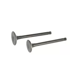 Szelep garnitúra Loncin LC2P76F