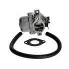 Karburátor komplett Briggs NIKKI, 215802, Power Built, Intek