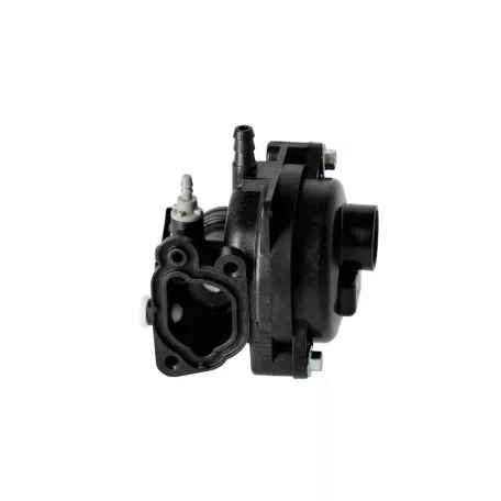 Karburátor komplett Briggs 550E,