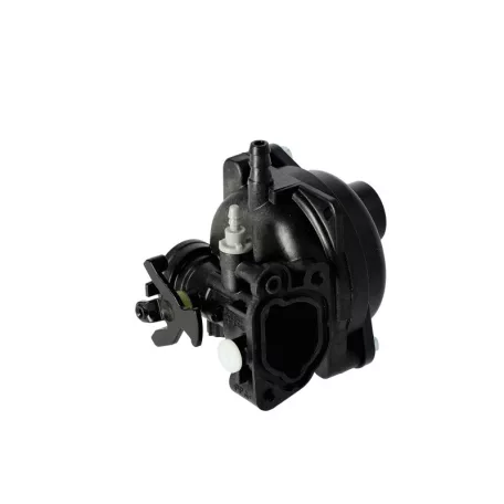 Karburátor komplett Briggs 550E,