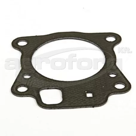 Tömítés hengerfej Briggs Quantum 675, 775