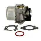 Karburátor komplett Briggs 12Q502