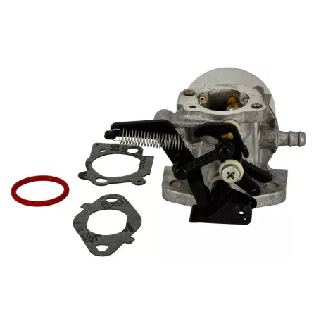 Karburátor komplett Briggs 12Q502