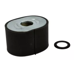 Levegőszűrő betét Briggs vízszintes 25t232-0007-f1