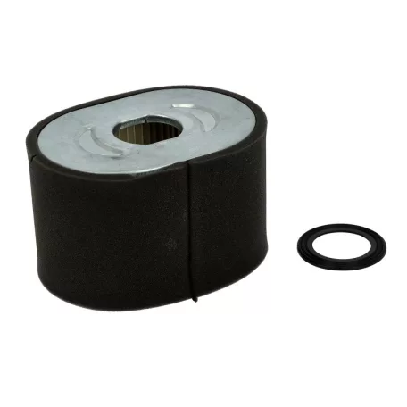 Levegőszűrő betét Briggs vízszintes 25t232-0007-f1