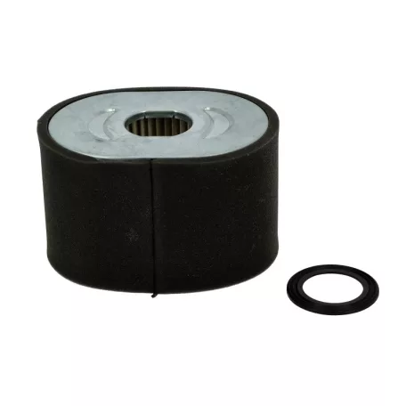 Levegőszűrő betét Briggs vízszintes 25t232-0007-f1