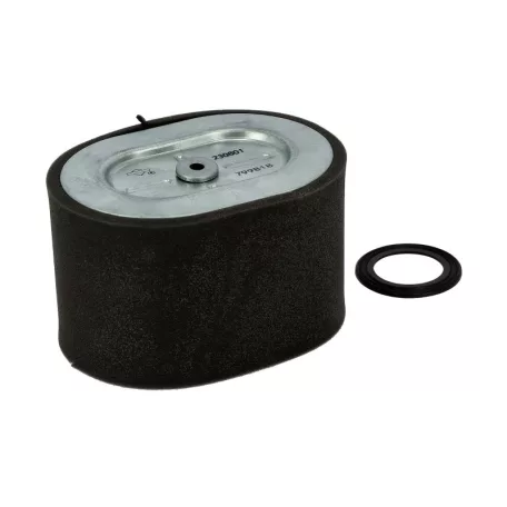 Levegőszűrő betét Briggs vízszintes 25t232-0007-f1