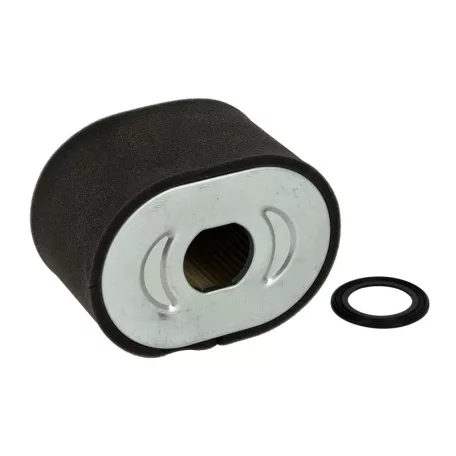 Levegőszűrő betét Briggs vízszintes 25t232-0007-f1