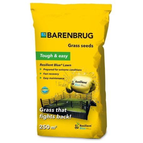 Barenbrug Resilient Blue Lawn fűmag 5 kg - 200-250 m2