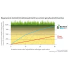 Barenbrug Resilient Blue Lawn fűmag 5 kg - 200-250 m2