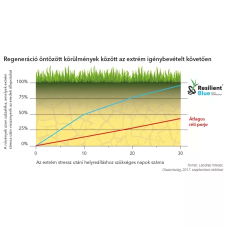 Barenbrug Resilient Blue Lawn fűmag 5 kg - 200-250 m2