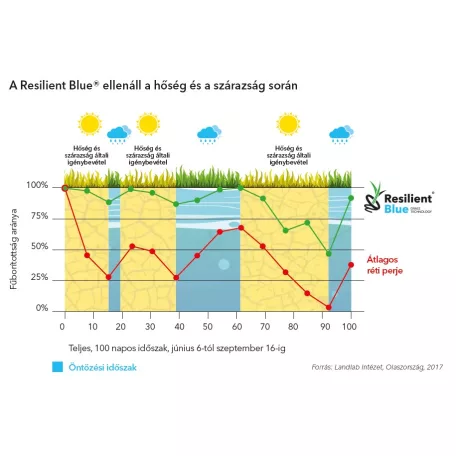 Barenbrug Resilient Blue Lawn fűmag 5 kg - 200-250 m2
