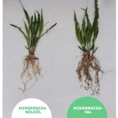 Danuba MikoMax Garden 10 kg