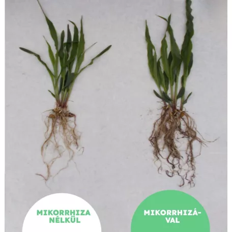 Danuba MikoMax Garden 10 kg