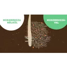 Danuba MikoMax Garden 10 kg